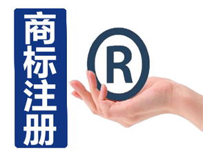 深圳市路浩知識(shí)產(chǎn)權(quán)代理 商標(biāo)申請(qǐng)與保護(hù)的專(zhuān)業(yè)護(hù)航者